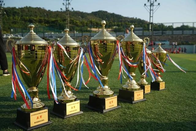 “苏超”宿迁队首赛2：0战胜南京 “霸王”坐镇所向披靡